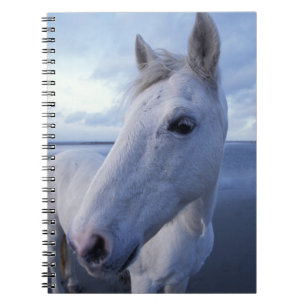 Cuaderno Caballo de Camargue