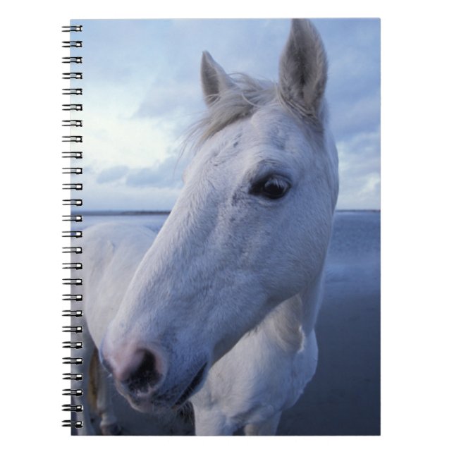 Cuaderno Caballo de Camargue (Frente)