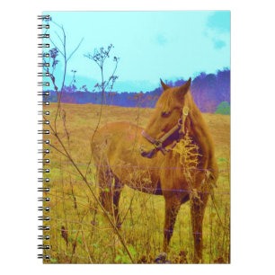 Cuaderno Caballo de color retro