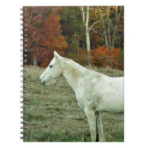 Cuaderno Caballo de crema blanca en campo otoñal
