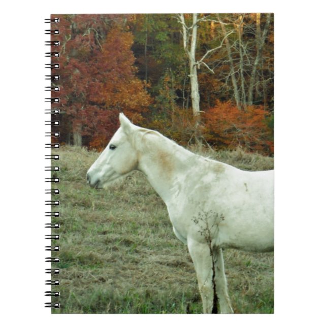 Cuaderno Caballo de crema blanca en campo otoñal (Frente)