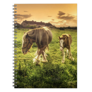 Cuaderno Caballo de la madre y del potro