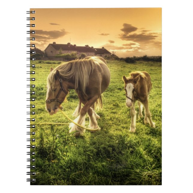 Cuaderno Caballo de la madre y del potro (Frente)