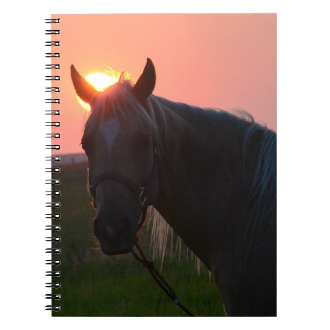 Cuaderno Caballo de la salida del sol (Frente)