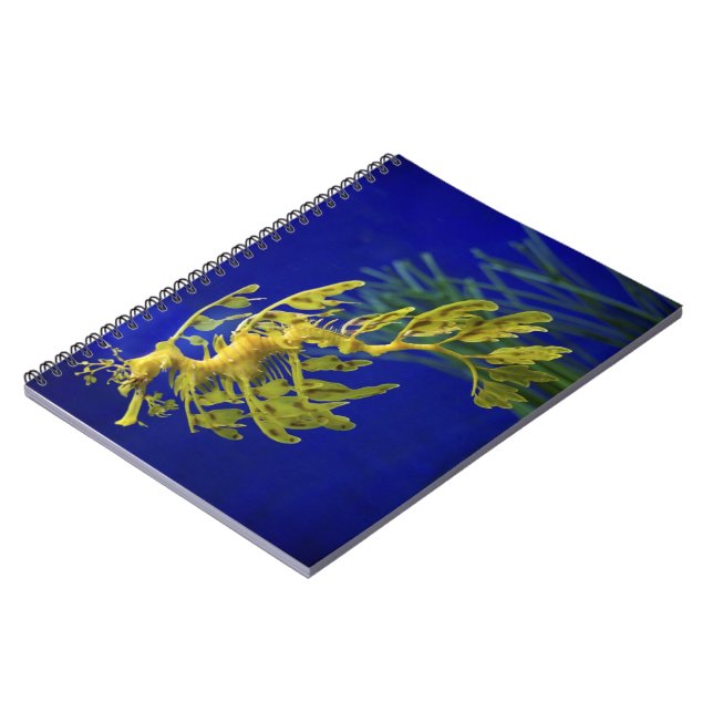 Cuaderno Caballo de mar (Lado Izquierdo)
