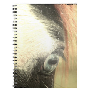 Cuaderno Caballo de ojos azules Grunge