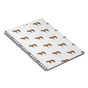 Cuaderno Caballo de Pintura Americano Acuarela Ecuestre