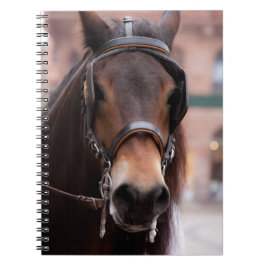 Cuaderno Caballo de puente