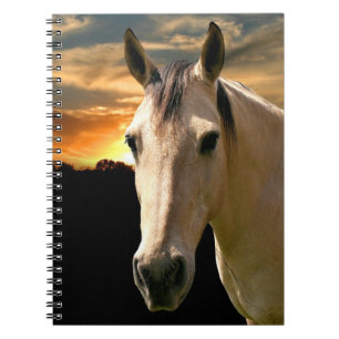 Cuaderno Caballo de sol