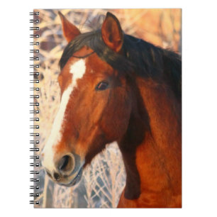 Cuaderno Caballo de Stallion