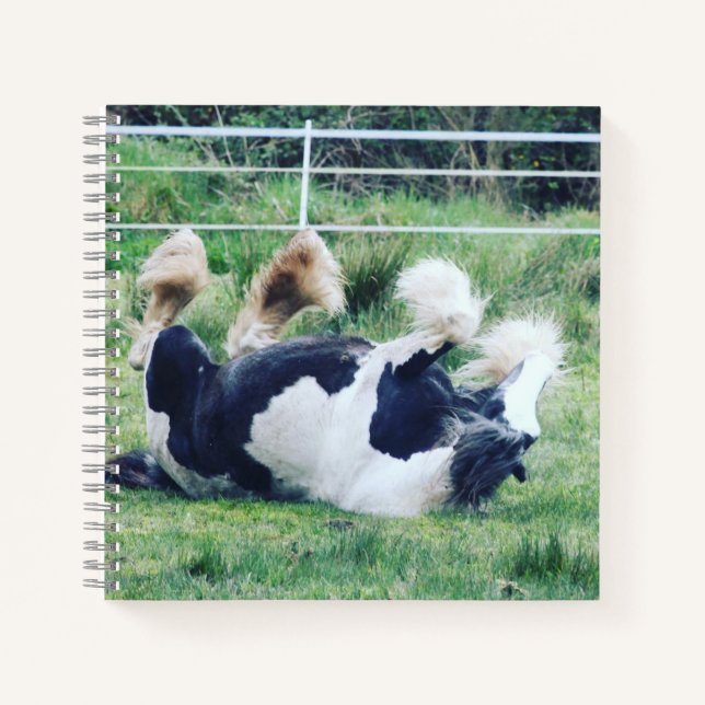Cuaderno Caballo de vainero gitano revoloteando en la hierb (Anverso)