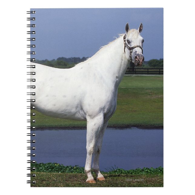 Cuaderno Caballo del Appaloosa (Frente)
