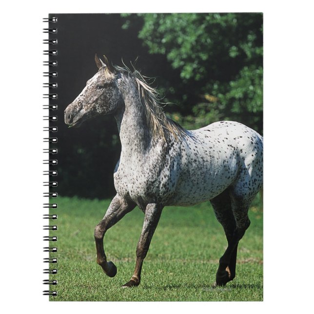 Cuaderno Caballo del Appaloosa que corre 2 (Frente)