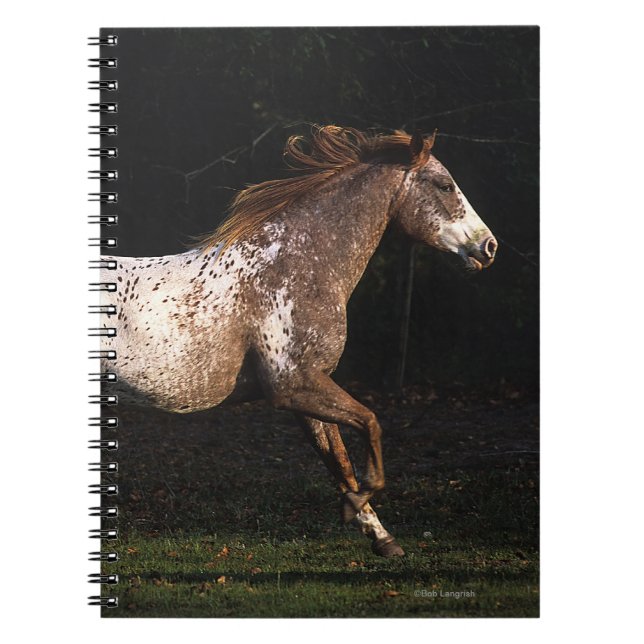Cuaderno Caballo del Appaloosa que corre 4 (Frente)
