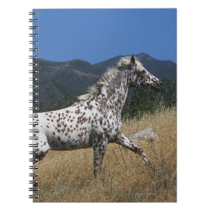 Cuaderno Caballo del Appaloosa que funciona con para arriba