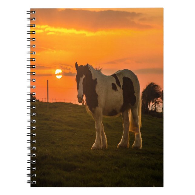 Cuaderno Caballo del atardecer (Frente)