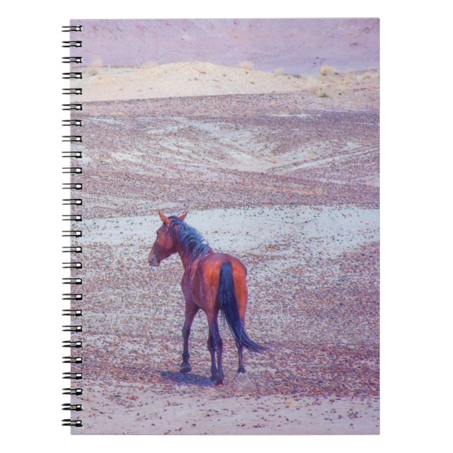 Cuaderno Caballo desierto P8640 (Frente)