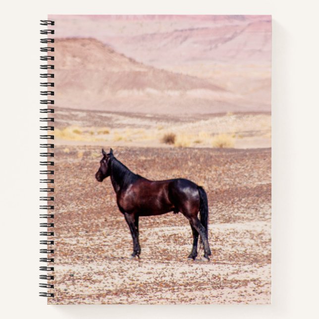 Cuaderno Caballo desierto P8664 (Anverso)
