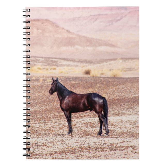 Cuaderno Caballo desierto P8664 (Frente)