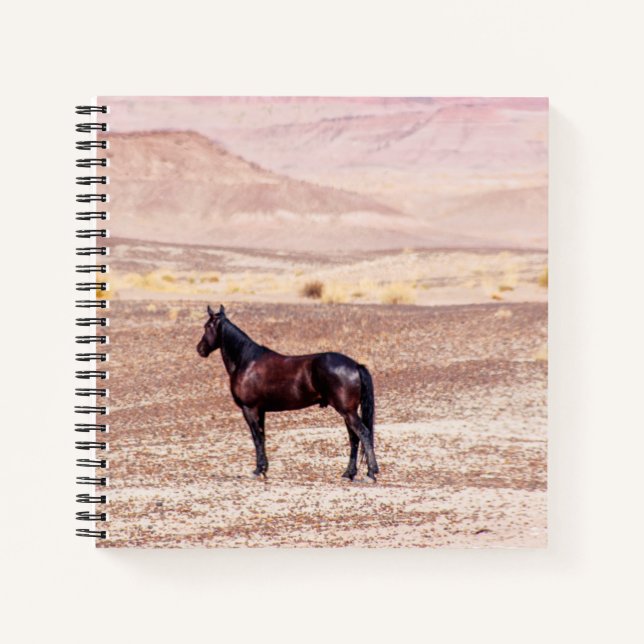 Cuaderno Caballo desierto P8664 (Anverso)