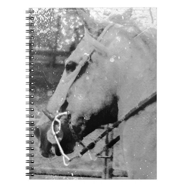 Cuaderno Caballo en blanco y negro (Frente)