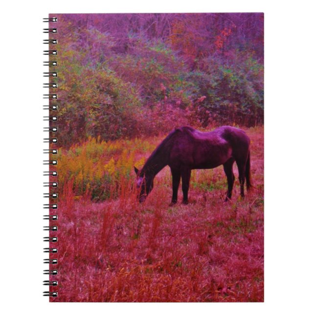 Cuaderno Caballo en campo de color Kaleidoscope (Frente)
