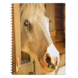 Cuaderno Caballo en establos