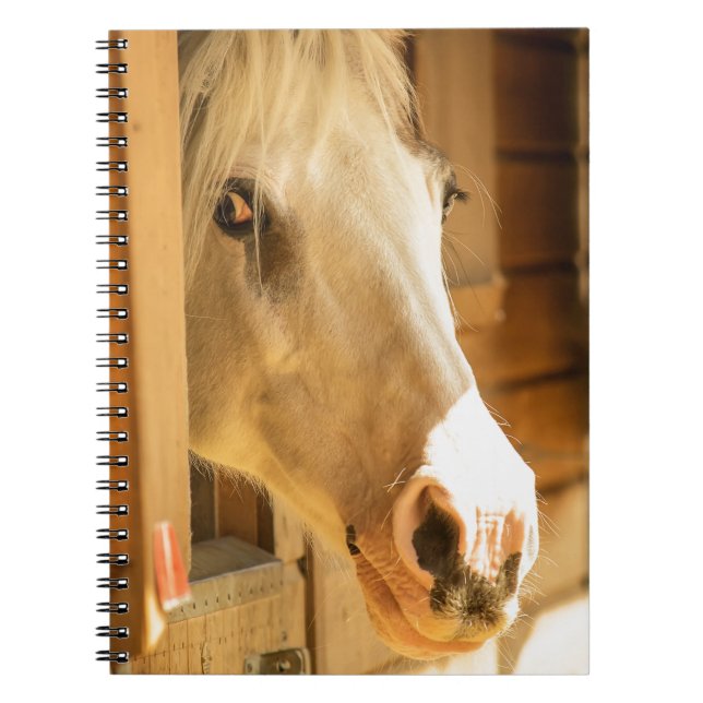 Cuaderno Caballo en establos (Frente)