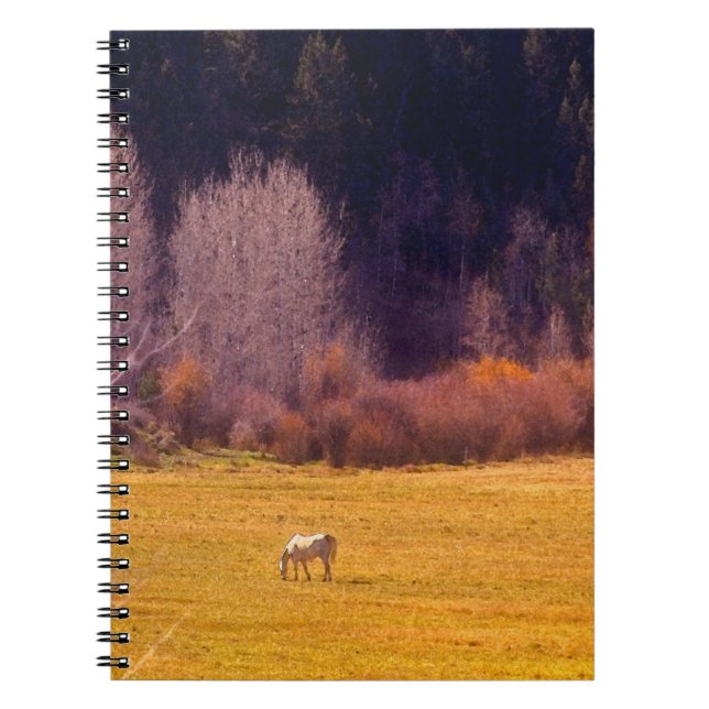Cuaderno Caballo en la caída I (Frente)