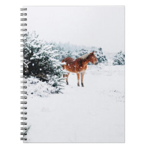 CUADERNO CABALLO EN LA NIEVE CAÍDA