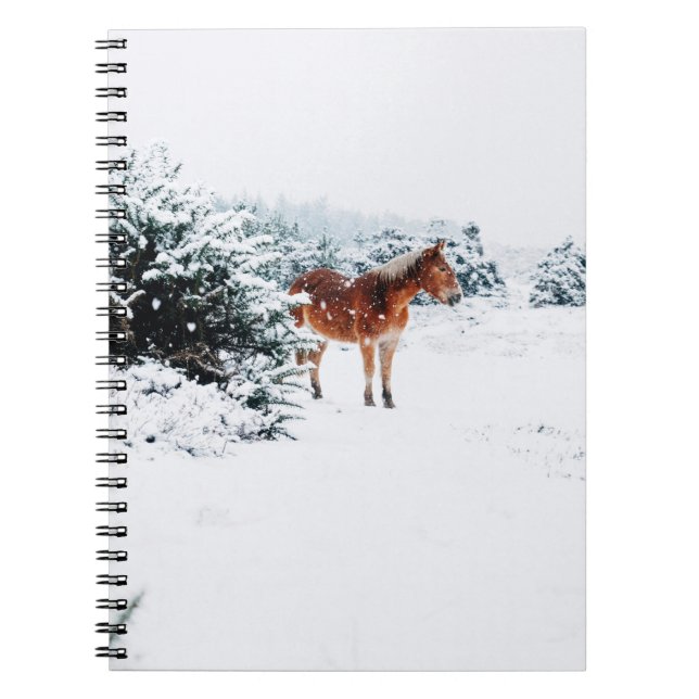 CUADERNO CABALLO EN LA NIEVE CAÍDA (Frente)