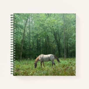 Cuaderno Caballo en la pradera