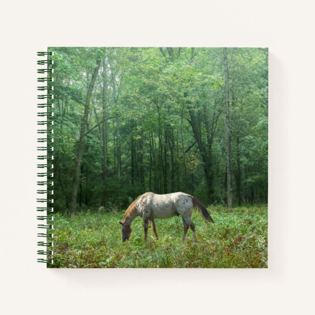 Cuaderno Caballo en la pradera (Anverso)