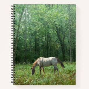 Cuaderno Caballo en la pradera