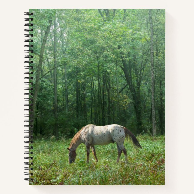 Cuaderno Caballo en la pradera (Anverso)