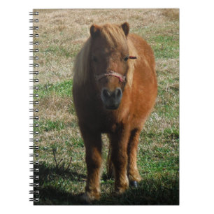 Cuaderno Caballo en miniatura marrón