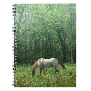 Cuaderno Caballo en prado