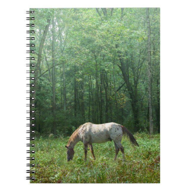 Cuaderno Caballo en prado (Frente)