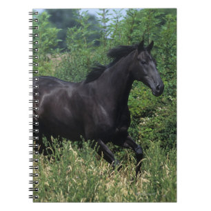 Cuaderno Caballo excelente que corre en hierba