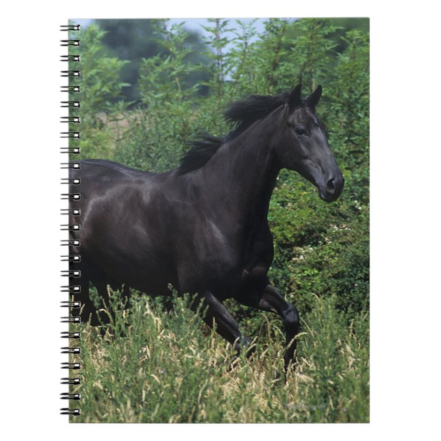 Cuaderno Caballo excelente que corre en hierba (Frente)