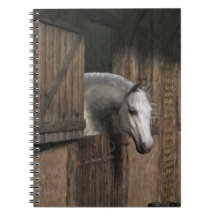 Caballo gris en la puerta estable