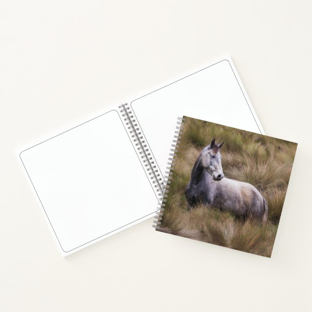 Cuaderno Caballo gris hermoso (Interior)