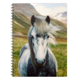 Cuaderno Caballo gris salvaje en las montañas