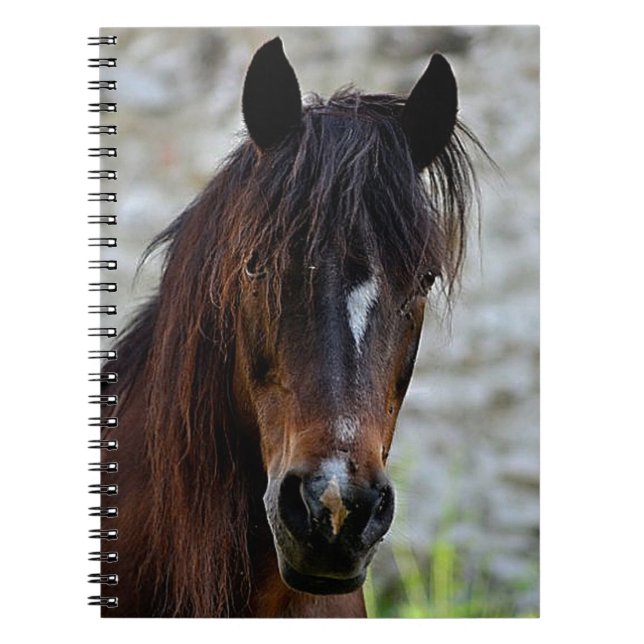Cuaderno Caballo hermoso de Brown (Frente)