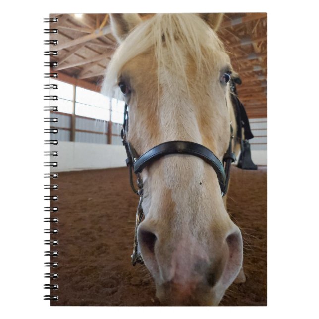 Cuaderno Caballo "Hi" (Frente)
