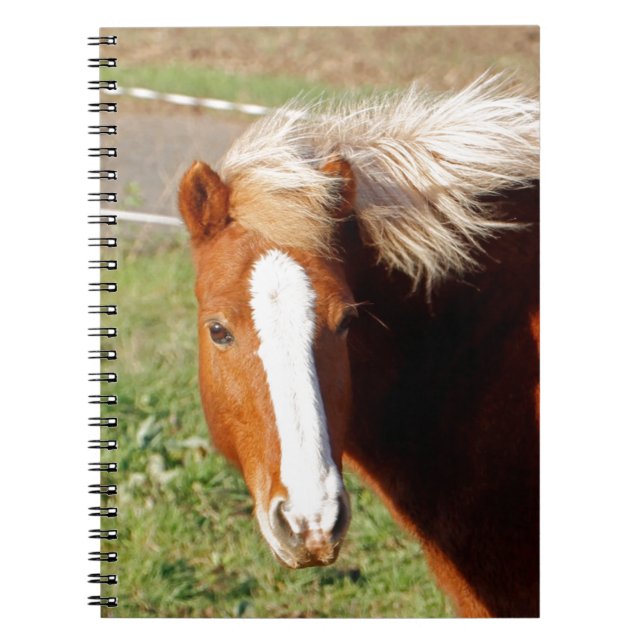 Cuaderno Caballo islandés 001 (Frente)