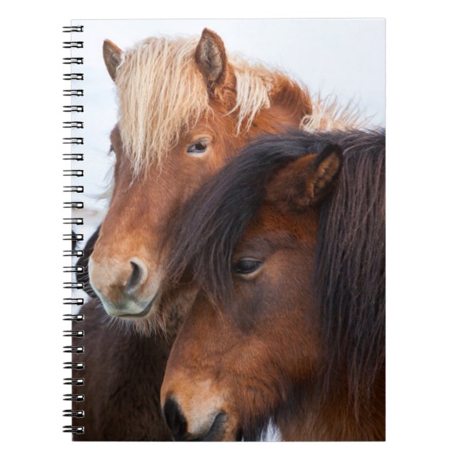 Cuaderno Caballo islandés durante el invierno en Islandia (Frente)