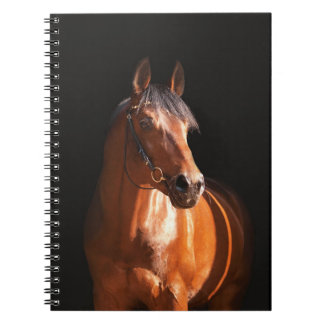Cuaderno caballo juguetón en el negro