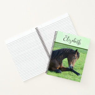Cuaderno Caballo marrón bonito en la hierba