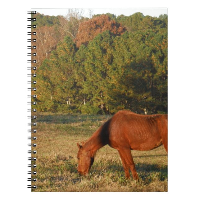 Cuaderno Caballo marrón con pinos (Frente)